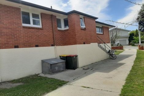 Photo of property in 110 Ventry Street, Alexandra, 9320