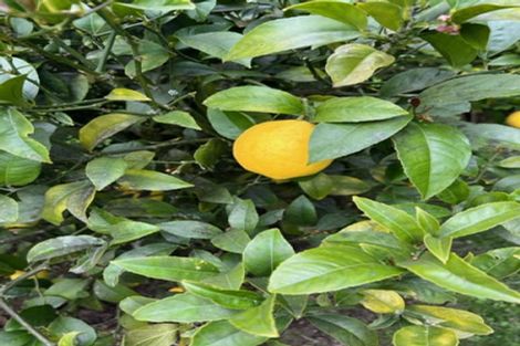 Photo of property in 6 Morunga Street, Omori, Turangi, 3381