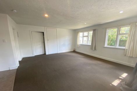 Photo of property in 1/113 Ruskin Street, Addington, Christchurch, 8024