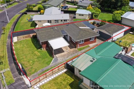 Photo of property in 46 Fitzroy Avenue, Fitzroy, Hamilton, 3206