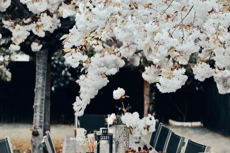 Photo of property in 24 Date Crescent, Aidanfield, Christchurch, 8025