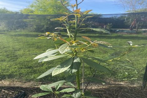 Photo of property in 59a Selwyn Street, Pohara, Takaka, 7183