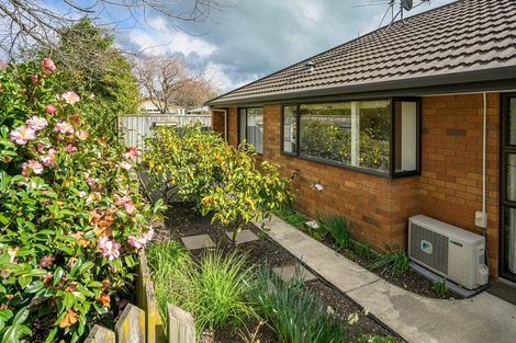 Photo of property in 8a Chisnall Street, Stoke, Nelson, 7011