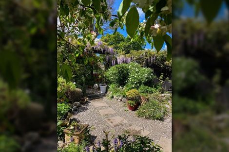 Photo of property in 20b Wood Street, Greytown, 5712