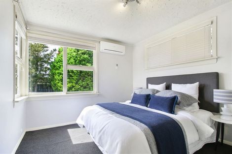 Photo of property in 10 Donegal Street, Belfast, Christchurch, 8051