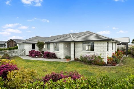 Photo of property in 22 Kohekohe Road, Papamoa Beach, Papamoa, 3118