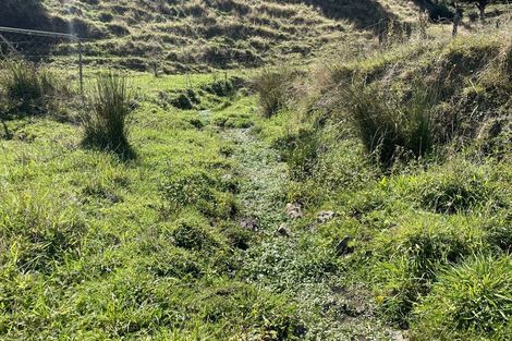 Photo of property in 61 Mickell Road, Hautere, Otaki, 5582