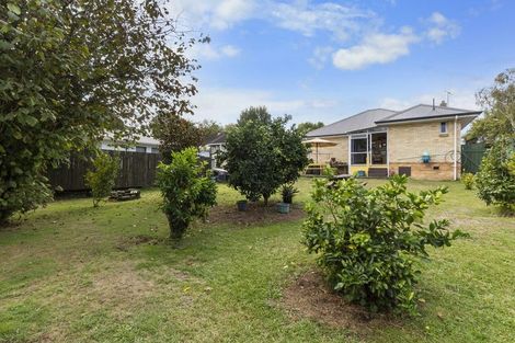 Photo of property in 157 Grey Street, Hamilton East, Hamilton, 3216