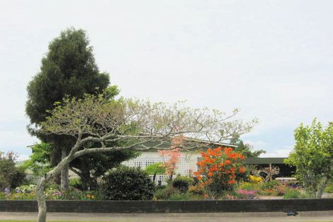 Photo of property in 90 Nelson Street, Opotiki, 3122