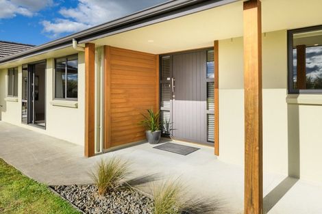 Photo of property in 100 Mount Taylor Drive, Feilding, 4775