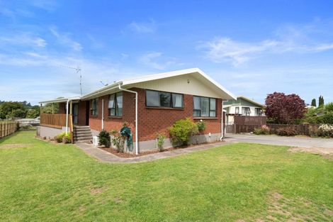 Photo of property in 55 Papanui Street, Tokoroa, 3420