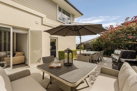 Photo of property in 75 Fifth Avenue, Tauranga, 3110