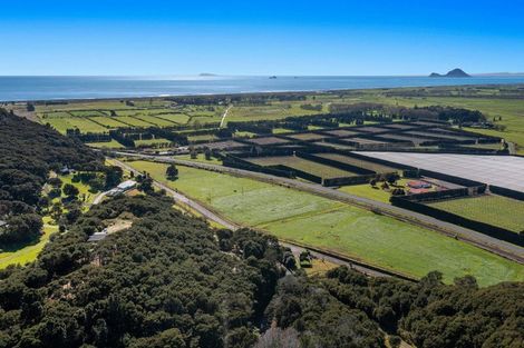 Photo of property in 2 Kokako Heights, Matata, Whakatane, 3194