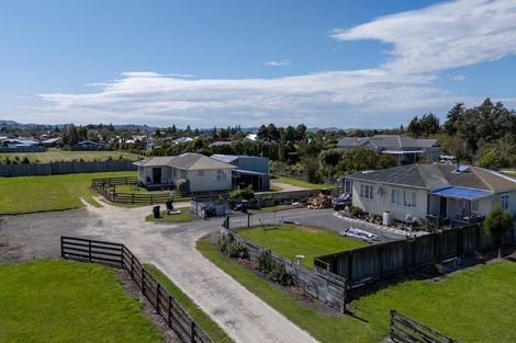 Photo of property in 31 Millard Avenue, Kuripuni, Masterton, 5810