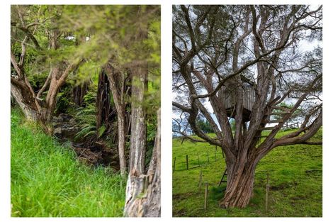 Photo of property in 71 Mangotahi Road, Thames, 3577