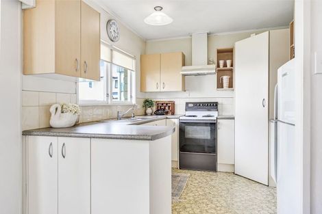 Photo of property in 165a Clarkin Road, Fairfield, Hamilton, 3214