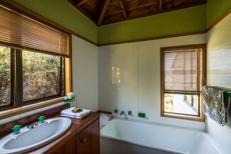 Photo of property in 70 Rayner Road, Piha, 0772