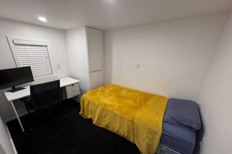 Photo of property in 19 Torrens Road, Hillmorton, Christchurch, 8024