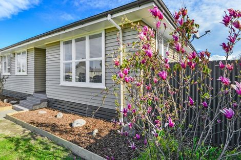 Photo of property in 19 Arbroath Avenue, Flaxmere, Hastings, 4120