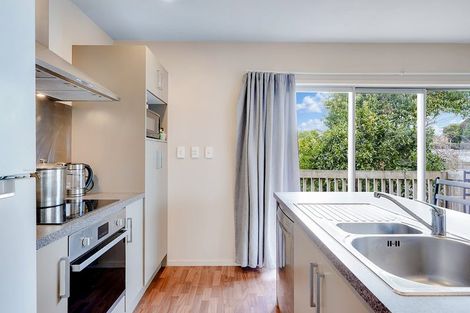 Photo of property in 17a Carey Street, Maeroa, Hamilton, 3200