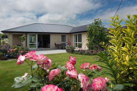 Photo of property in 19 Eric Batchelor Place, Waimate, 7924