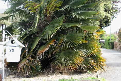 Photo of property in 23 Muller Road, Blenheim, 7201