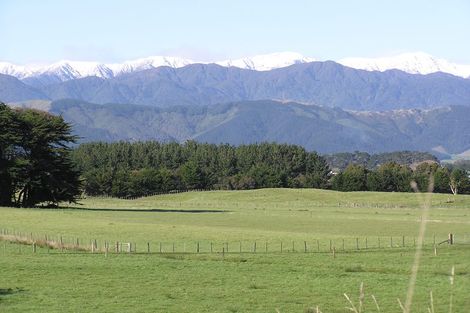 Photo of property in 96 Bergin Road, Foxton, 4814