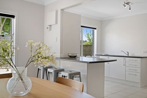 Photo of property in 219a Tukapa Street, Westown, New Plymouth, 4310