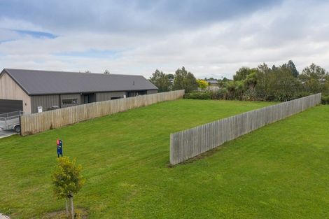 Photo of property in 11 Redhaven Rise, Netherby, Ashburton, 7700