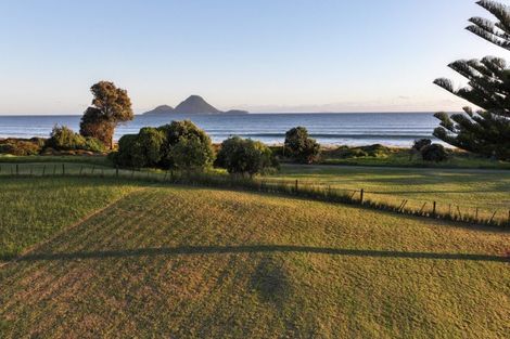 Photo of property in 5 Pacific Parade, Coastlands, Whakatane, 3120