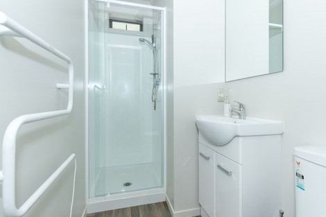 Photo of property in 58 Willoughby Street, Whitiora, Hamilton, 3200