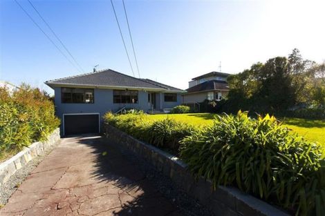 Photo of property in 33 Allum Street, Kohimarama, Auckland, 1071