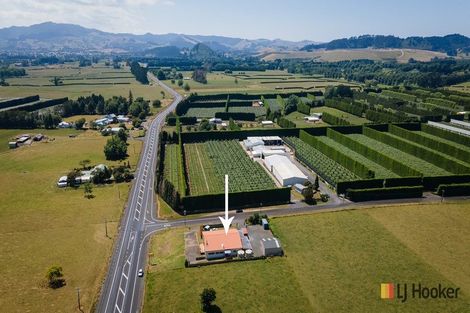 Photo of property in 6 Trig Road, Waihi, 3681