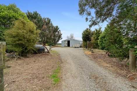 Photo of property in 459 Muhunoa Road East, Muhunoa East, Levin, 5570