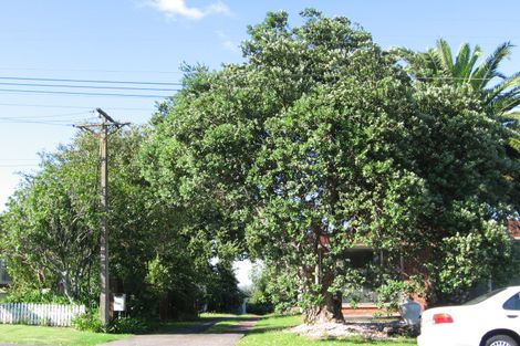 Photo of property in 25 Exmouth Road, Northcote, Auckland, 0627