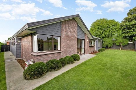 Photo of property in 3 Calvert Place, Cambridge, 3434