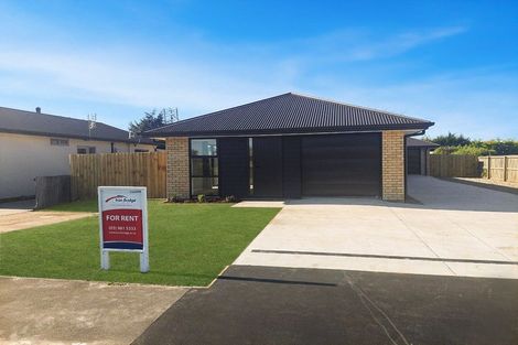 Photo of property in 16a Darcy Street, Richmond, 7020
