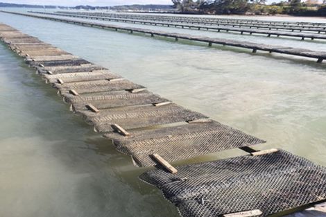 Photo of property in 50 Kiteone Road, Parua Bay, Whangarei, 0174