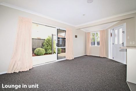 Photo of property in 50b Park Road, Katikati, 3129