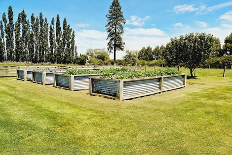 Photo of property in 16 Centre Bush Otapiri Road, Centre Bush, Winton, 9782