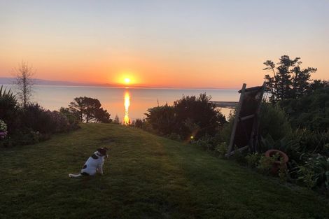 Photo of property in 858d Thames Coast Sh25 Road, Te Mata, Thames, 3575