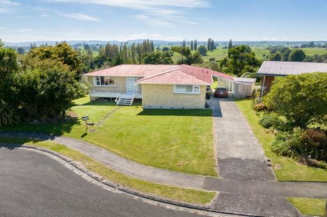 Photo of property in 33 Russell Terrace, Putaruru, 3411