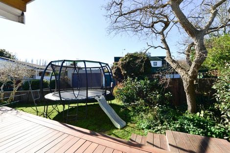 Photo of property in 8b Chelsea Place, Chartwell, Hamilton, 3210