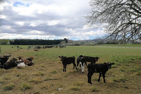 Photo of property in 195 Wendon Creek Road, Wendon, Gore, 9777