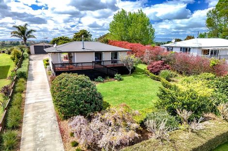 Photo of property in 3987 Ohaupo Road, Ohaupo, 3881