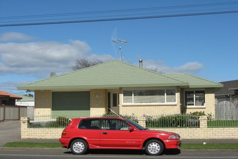 Photo of property in 174 Bath Street, Levin, 5510