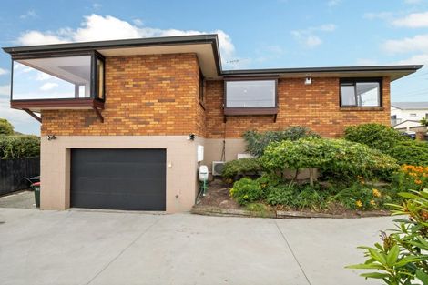 Photo of property in 12 Wills Street, Balaclava, Dunedin, 9011