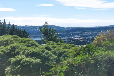 Photo of property in 105 Seatoun Heights Road, Seatoun, Wellington, 6022