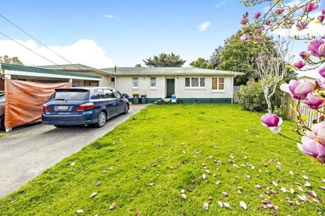 Photo of property in 20 Picton Street, Papatoetoe, Auckland, 2024