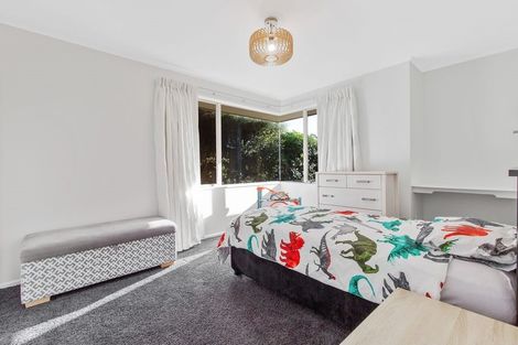 Photo of property in 50 Hunter Avenue, Richmond, 7020